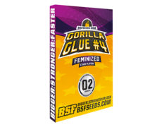 Package of Gorilla Glue Feminized seeds