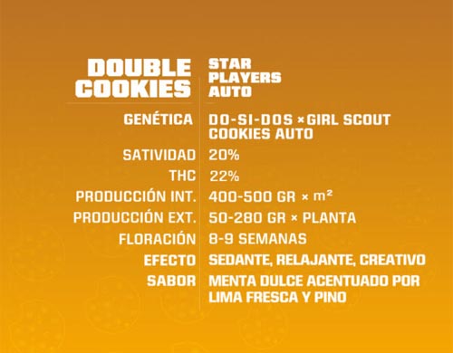 double-cookies-auto-description SensorySeeds Description Autoflowering Double Cookies Seeds