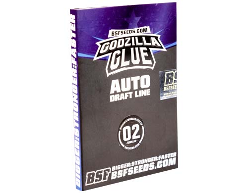 godzilla-glue-auto-package SensorySeeds Autoflowering Godzilla Glue Seeds Pack