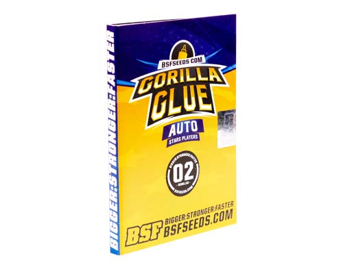 gorilla-glue-auto-package SensorySeeds Autoflowering Gorilla Glue Seeds Pack