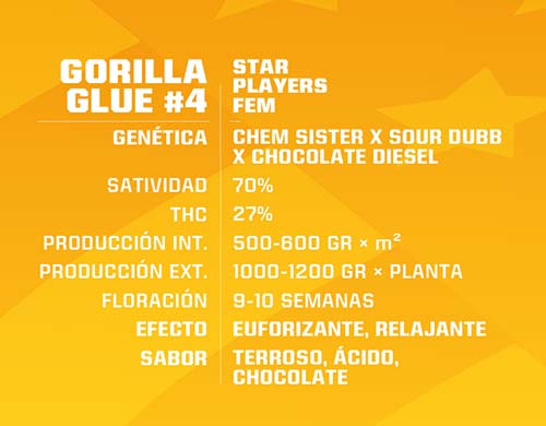 gorilla-glue-fem-description SensorySeeds Description Feminized Gorilla Glue Seeds