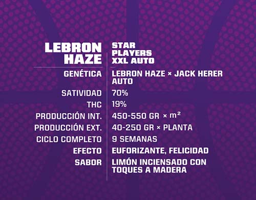 lebron-haze-auto-description Sensory Seeds Description Autoflowering Lebron Haze Seeds