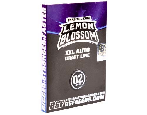 SensorySeeds Autoflowering Lemon Blossom Seeds Pack