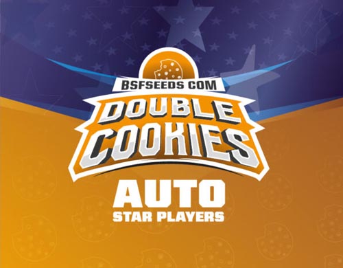 logo-double-cookies-auto-flowers-sensory-seeds Logo of Double Cookies feminized seeds