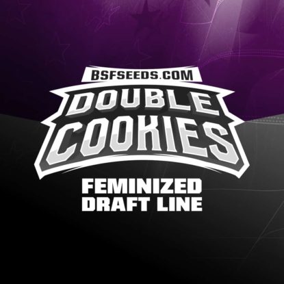 logo-double-cookies-feminized-seeds Logo of Double Cookies auto flowers seeds