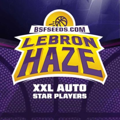 logo-lebron-haze-auto-flowers-seeds Logo of Lebron Haze auto flowers seeds