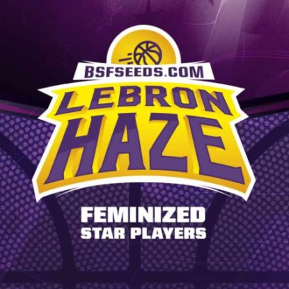 logo-lebron-haze-feminized-seeds Logo of Lebron Haze feminized seeds
