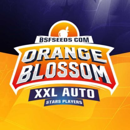 orange-blossom-auto-flowers-seeds-logo Logo of Orange Blossom auto flowers seeds