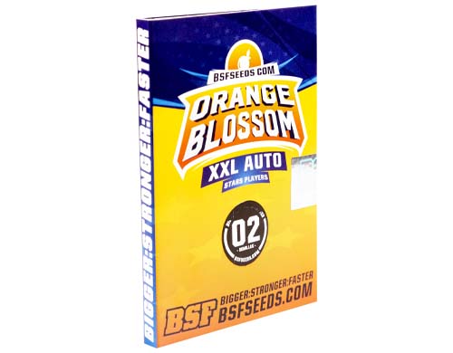 orange-blossom-auto-package SensorySeeds Autoflowering Orange Blossom Seeds Pack