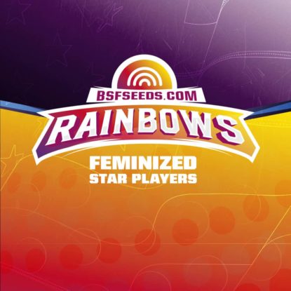 rainbows-feminized-seeds-logo Rainbow logo of feminized seeds