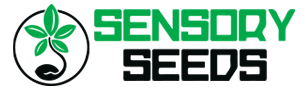 Weed Seeds shop - Homepage SensorySeeds logo - Online shop Weed Seeds