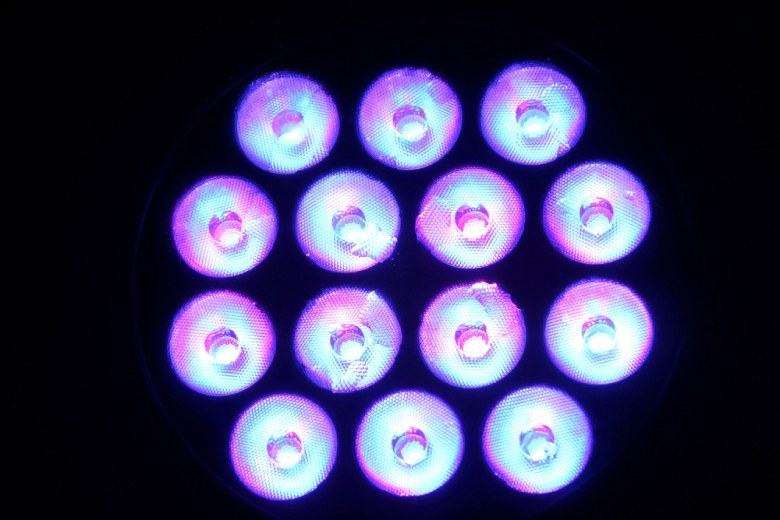 autoflowering seeds uv light