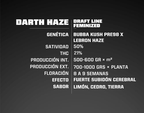 Darth Haze feminized seeds information