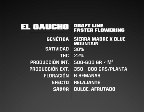 el-gaucho-fast-flowering-information Info El Gaucho