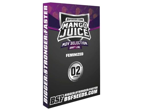 Feminized seeds of Mango Juice