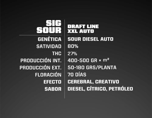 Information about Sig Sour XXL auto flowers seeds