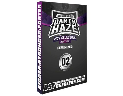 Marijuana seeds Darth Haze from SensorySeeds Shop