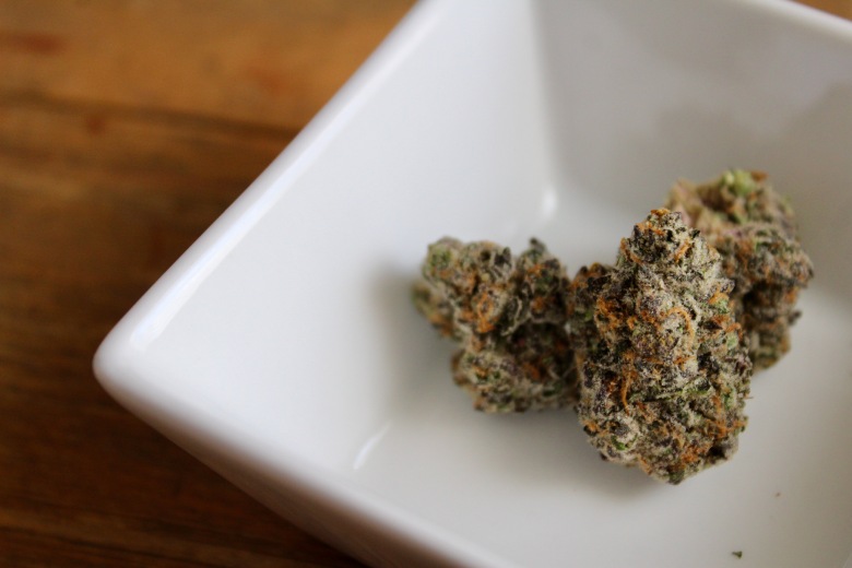 new cannabis seeds varieties