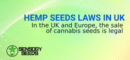 uk hemp seeds laws