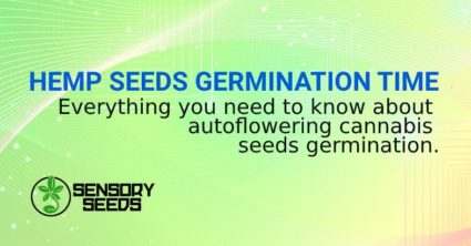 AUTOFLOWERING SEEDS GERMINATION TIME