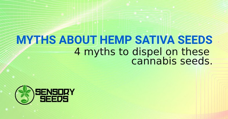 MYTHS ABOUT HEMP SATIVA SEEDS