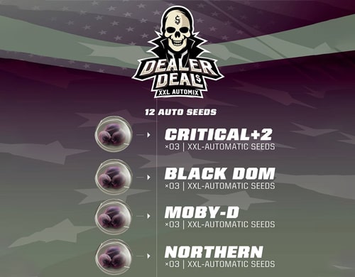description-kit-dealer-deal-xxl-automix-weed-seeds Description of Dealer Deal XXL Automix weeds seeds kit