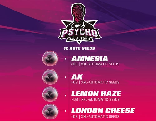 description-kit-psycho-xxl-automix-weed-seeds Description of Psycho XXL Automix weeds seeds kit