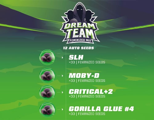 dream-team-cannabis-kit THC Seeds Dream Team