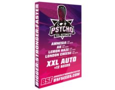 Kit of cannabis seeds Psycho XXL Automix from SensorySeeds Shop