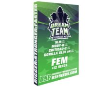 kit Dream Team Feminized Mix weed seeds