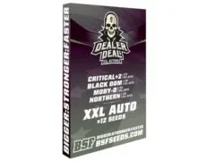 kit-weed-seeds-dealer-deal-xxl-automix-sensoryseeds Kit of weed seeds Dealer Deal XXL Automix from SensorySeeds