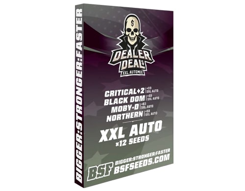 Kit of weed seeds Dealer Deal XXL Automix from SensorySeeds