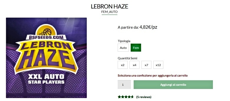 lebron haze hemp seeds