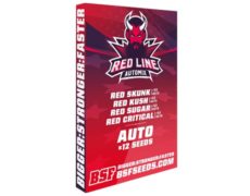 Red Line Automix marijuana seeds kit