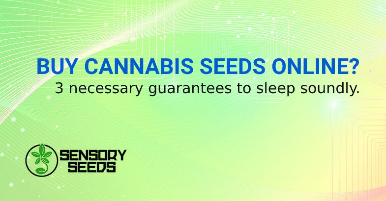 IS IT SAFE TO BUY CANNABIS SEEDS ONLINE