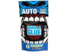 bulk weed seeds gorilla glue 4