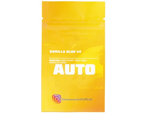 description-gorilla-glue-4-bulk-auto-flower-seeds
