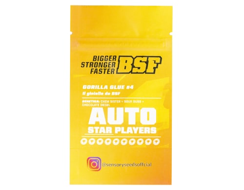 description-gorilla-glue-4-bulk-auto-flower-seeds Description of Gorilla Glue 4 bulk auto flower seeds