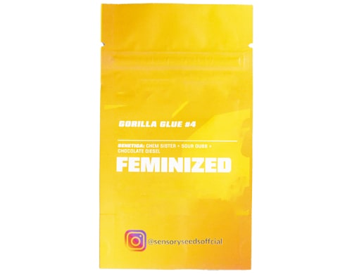 description-gorilla-glue-4-bulk-feminized-seeds