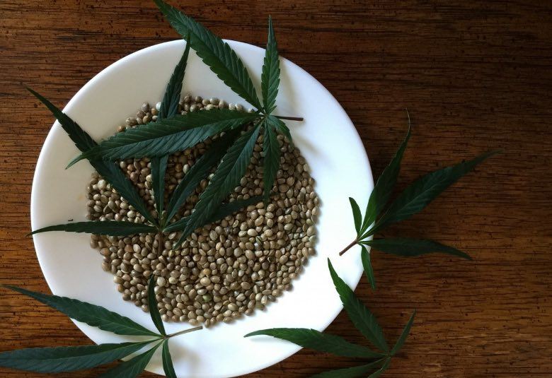 feminized cannabis seeds Outdoor 