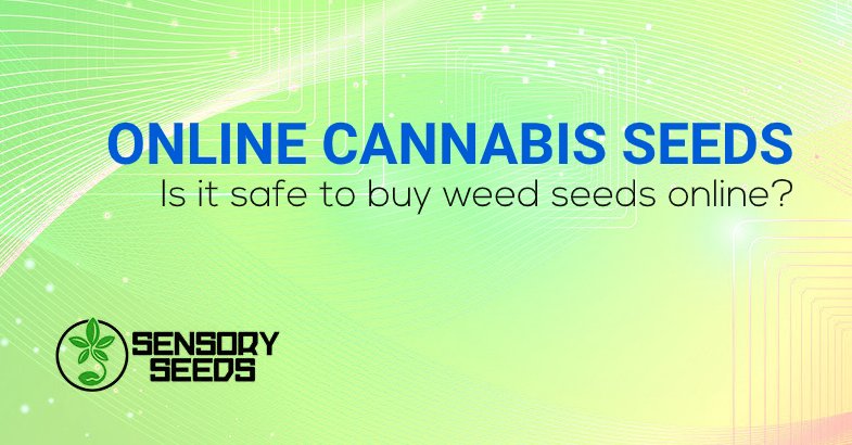 Is it safe to buy cannabis seeds online