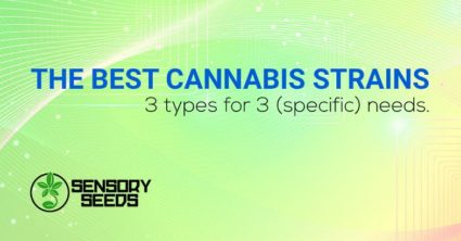 What are the best cannabis strains