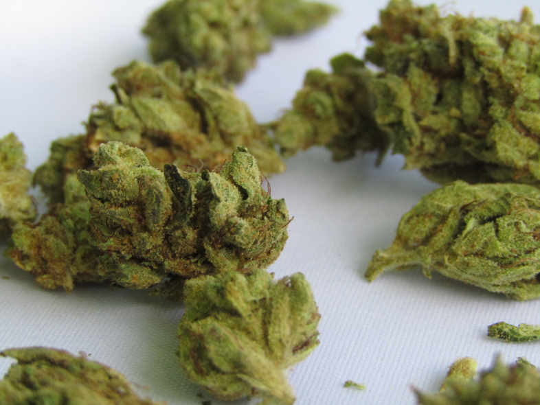 quality marijuana