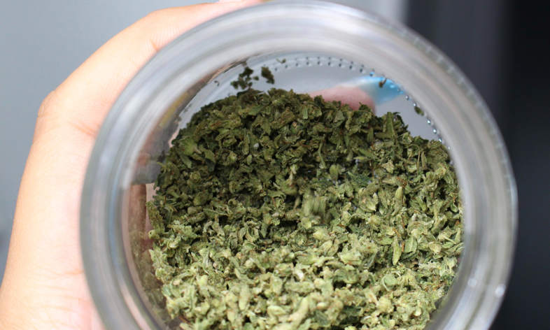 marijuana seeds in a jar