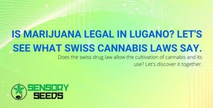 Let's find out about the Swiss cannabis laws in Lugano.