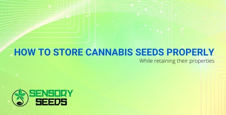 How to store cannabis seeds properly while retaining their properties?