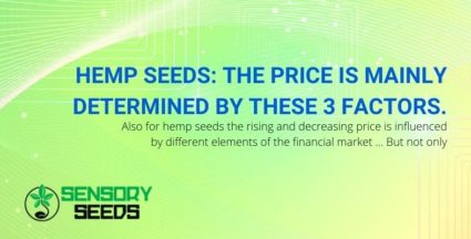 The price of hemp seeds is mainly determined by three factors