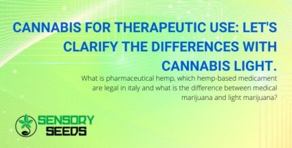 Let's see what are the differences between medical cannabis and light cannabis?