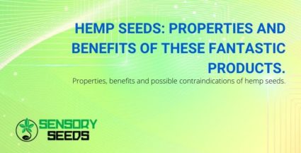 The properties and benefits of the fantastic hemp seeds
