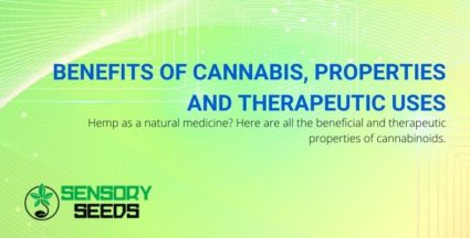 Properties, benefits and therapeutic uses of cannabis